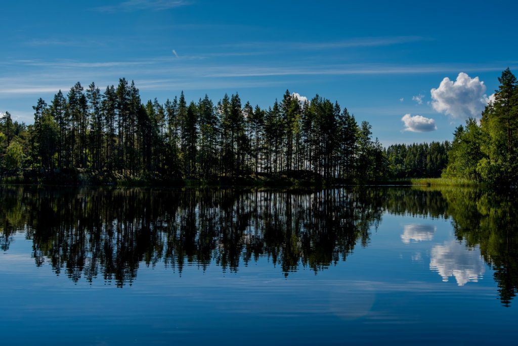 fin_36-1024x684-1 Finlandia